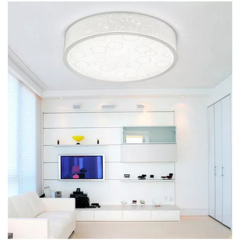 #13850 CEILING LIGHT
