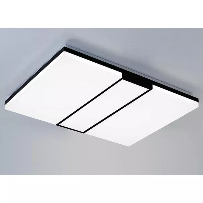 #13853 CEILING LIGHT