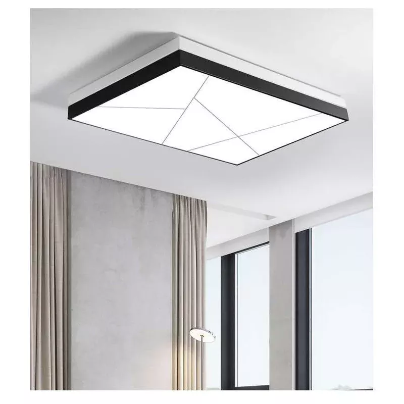 #13855 CEILING LIGHT