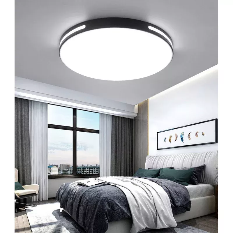 #13856 CEILING LIGHT